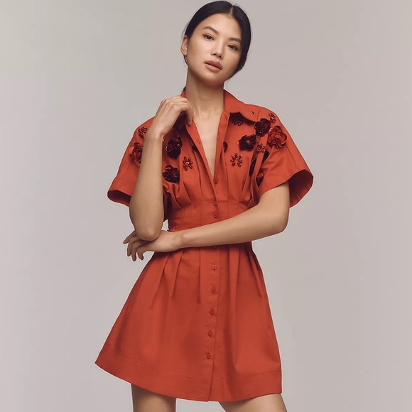Anthropologie Dresses & Skirts - NWOT! Tobie Button-Front Pleated Shirt Dress  by Exquise: Sequin Mini Edition